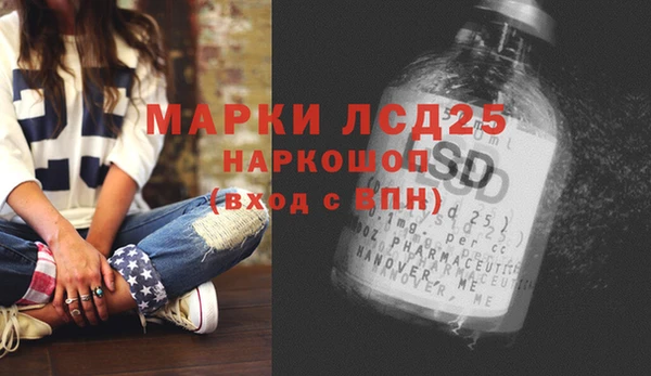 гидропоника Алзамай