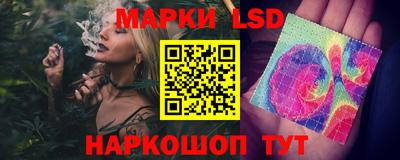 Альфа ПВП Ярославль