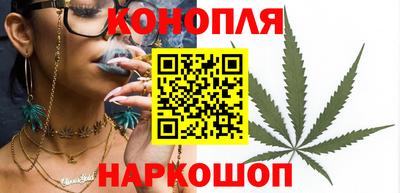 Альфа ПВП Ярославль