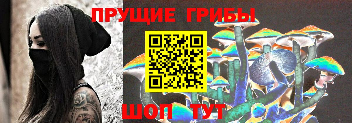 Псилоцибиновые грибы Psilocybine cubensis Павлово